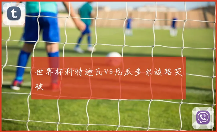 世界杯科特迪瓦vs厄瓜多尔边路突破