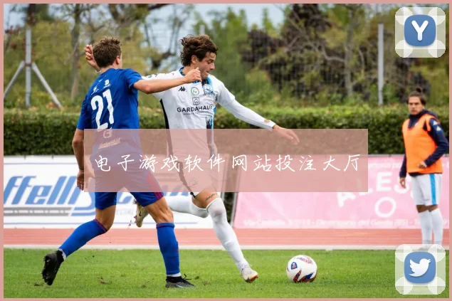 电子游戏软件网站投注大厅