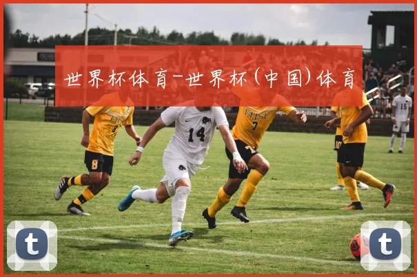 世界杯体育-世界杯(中国)体育