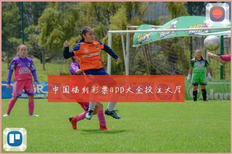 中国福利彩票app大全投注大厅