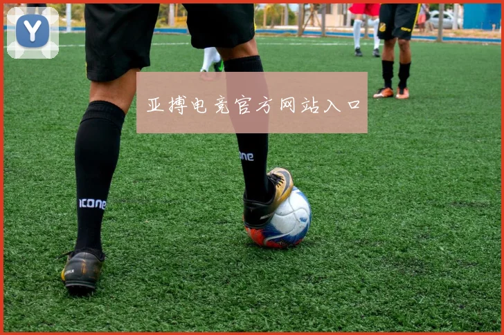 亚搏电竞官方网站入口