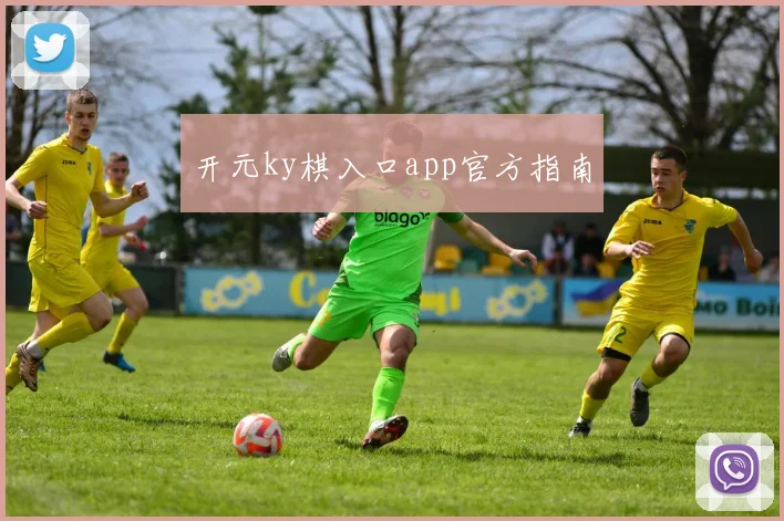 开元ky棋入口app官方指南