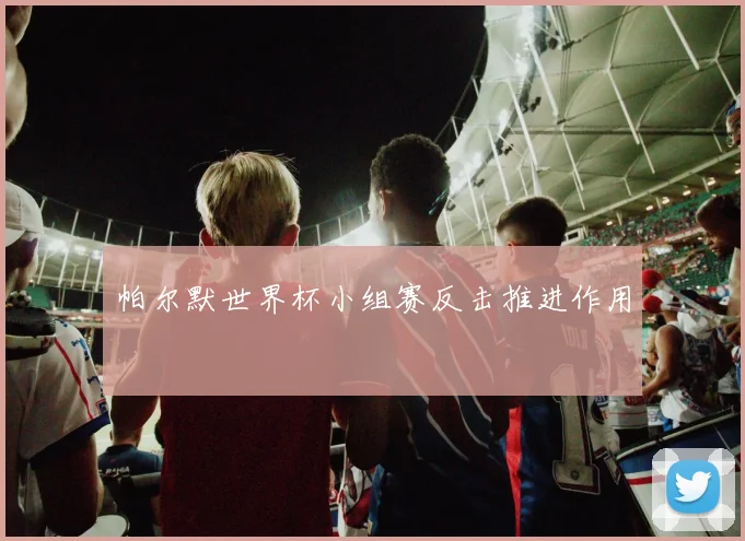 帕尔默世界杯小组赛反击推进作用