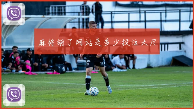 麻将胡了网站是多少投注大厅