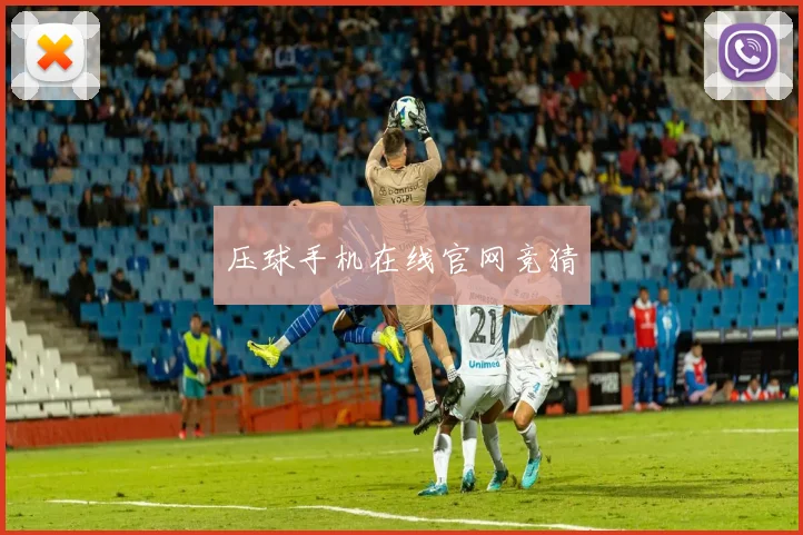 压球手机在线官网竞猜