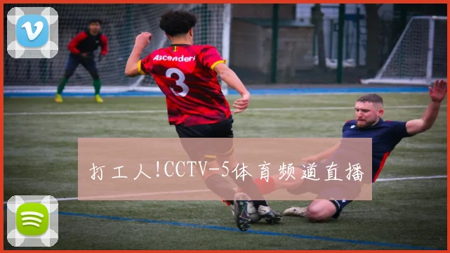 打工人!CCTV-5体育频道直播