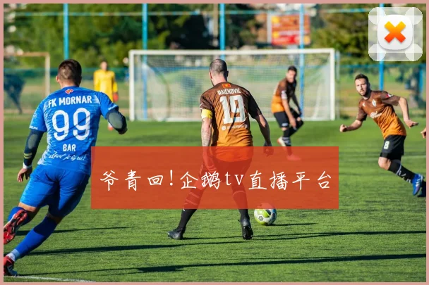 爷青回!企鹅tv直播平台