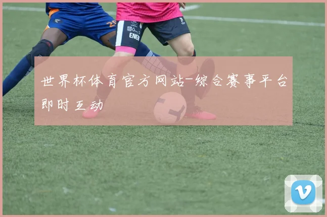 世界杯体育官方网站-综合赛事平台即时互动
