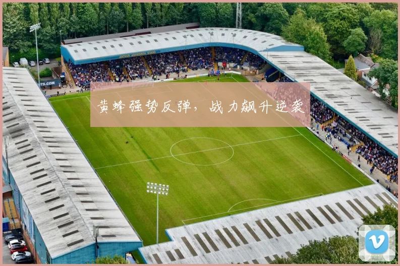 黄蜂强势反弹，战力飙升逆袭