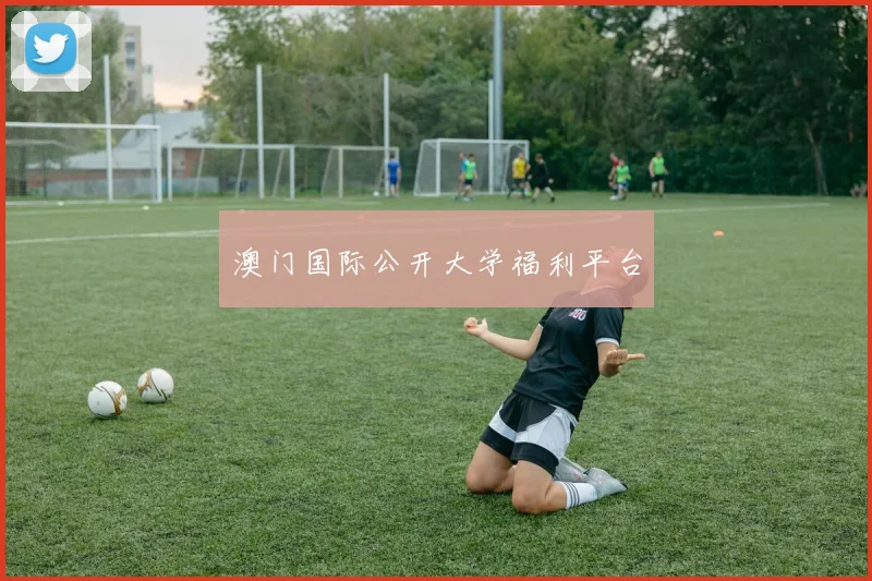 澳门国际公开大学福利平台
