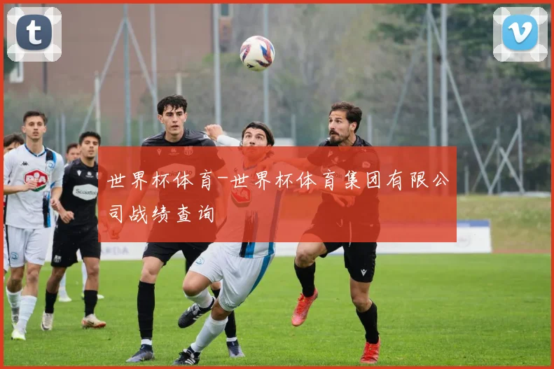 世界杯体育-世界杯体育集团有限公司战绩查询