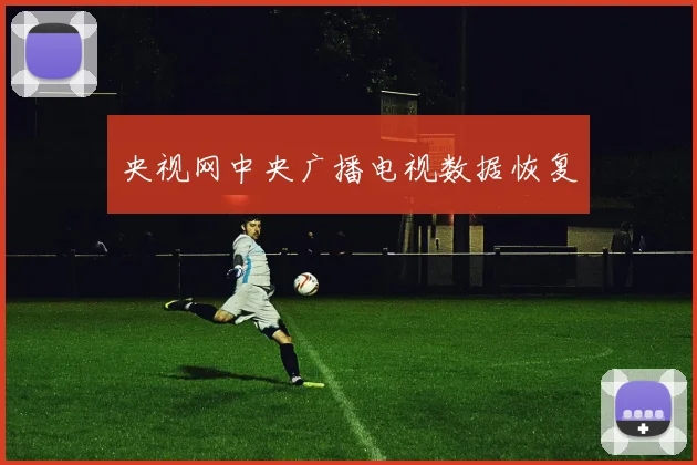 央视网中央广播电视数据恢复