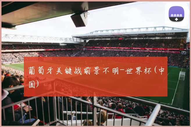 葡萄牙关键战前景不明-世界杯(中国)