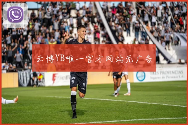 云博YB唯一官方网站无广告