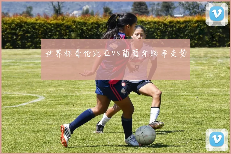 世界杯哥伦比亚vs葡萄牙赔率走势