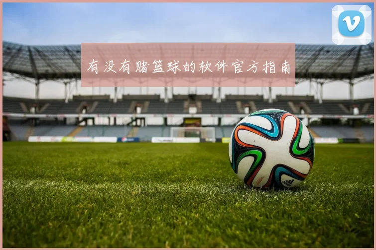 有没有赌篮球的软件官方指南