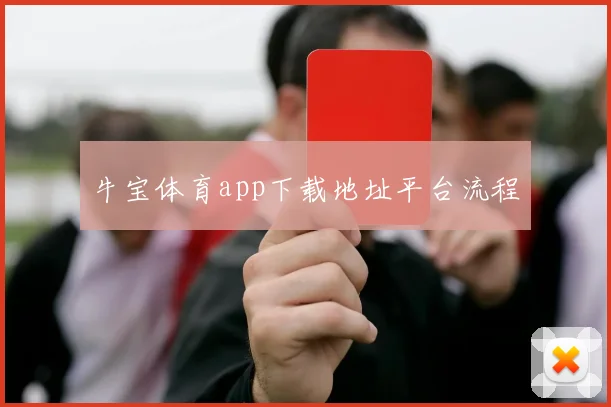 牛宝体育app下载地址平台流程