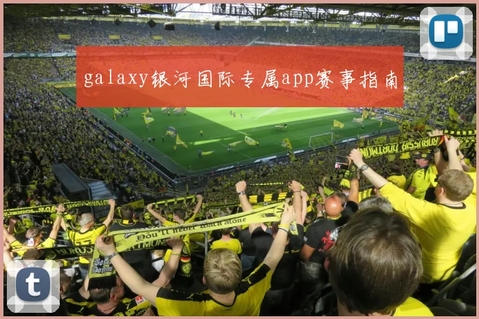 galaxy银河国际专属app赛事指南