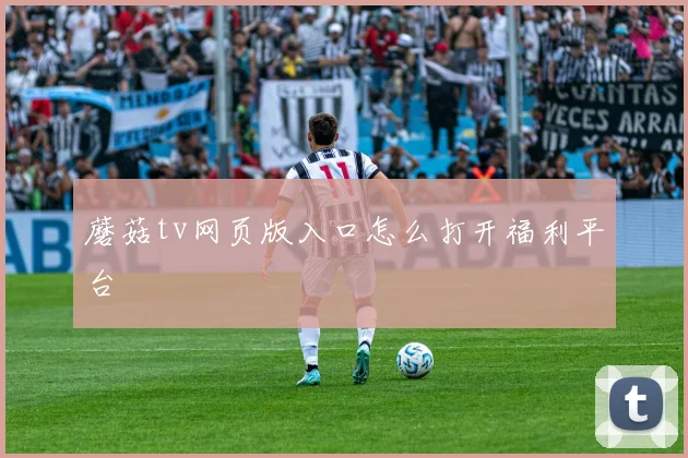 蘑菇tv网页版入口怎么打开福利平台