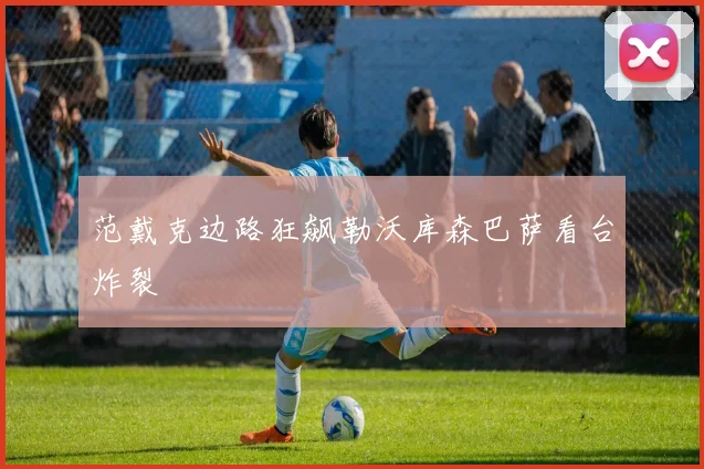 范戴克边路狂飙勒沃库森巴萨看台炸裂