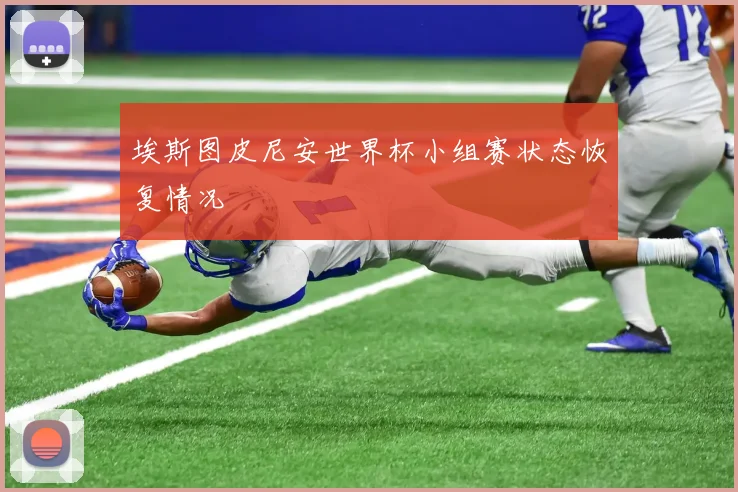 埃斯图皮尼安世界杯小组赛状态恢复情况