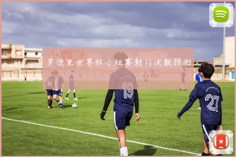 罗德里世界杯小组赛射门次数预测